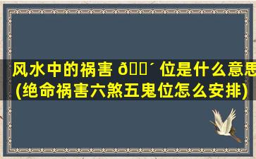 风水中的祸害 🐴 位是什么意思(绝命祸害六煞五鬼位怎么安排)